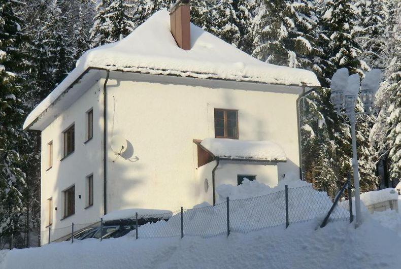 Ferienhaus Lebenskraft Pfaffetschlag Eksteriør billede